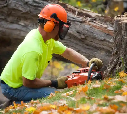 tree services East Rockingham